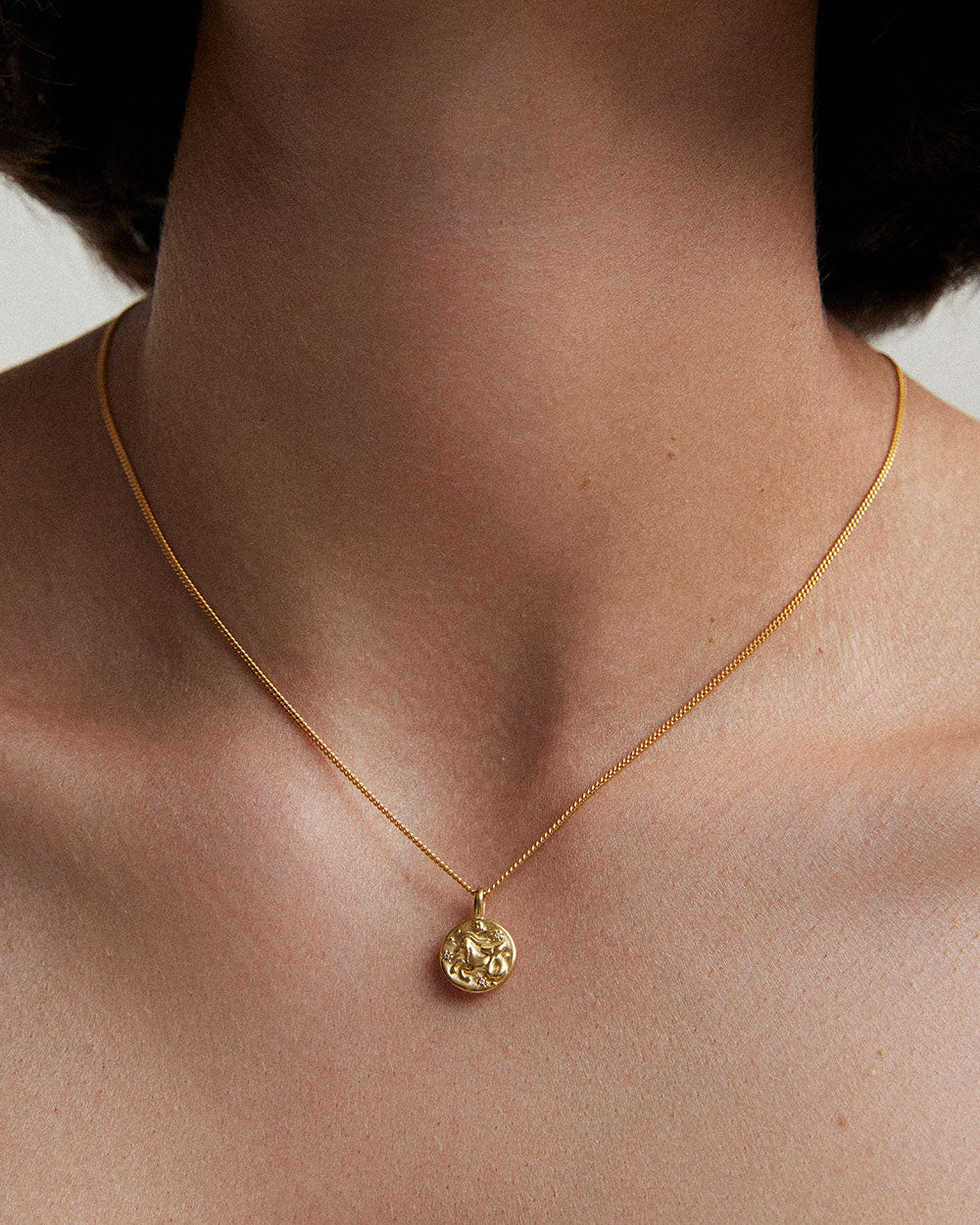 CAPRICORN PETITE ZODIAC (18K GOLD VERMEIL) IMAGE 3