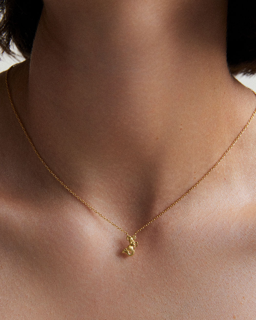 CAPRICORN STAR SIGN NECKLACE (18K GOLD VERMEIL) IMAGE 2