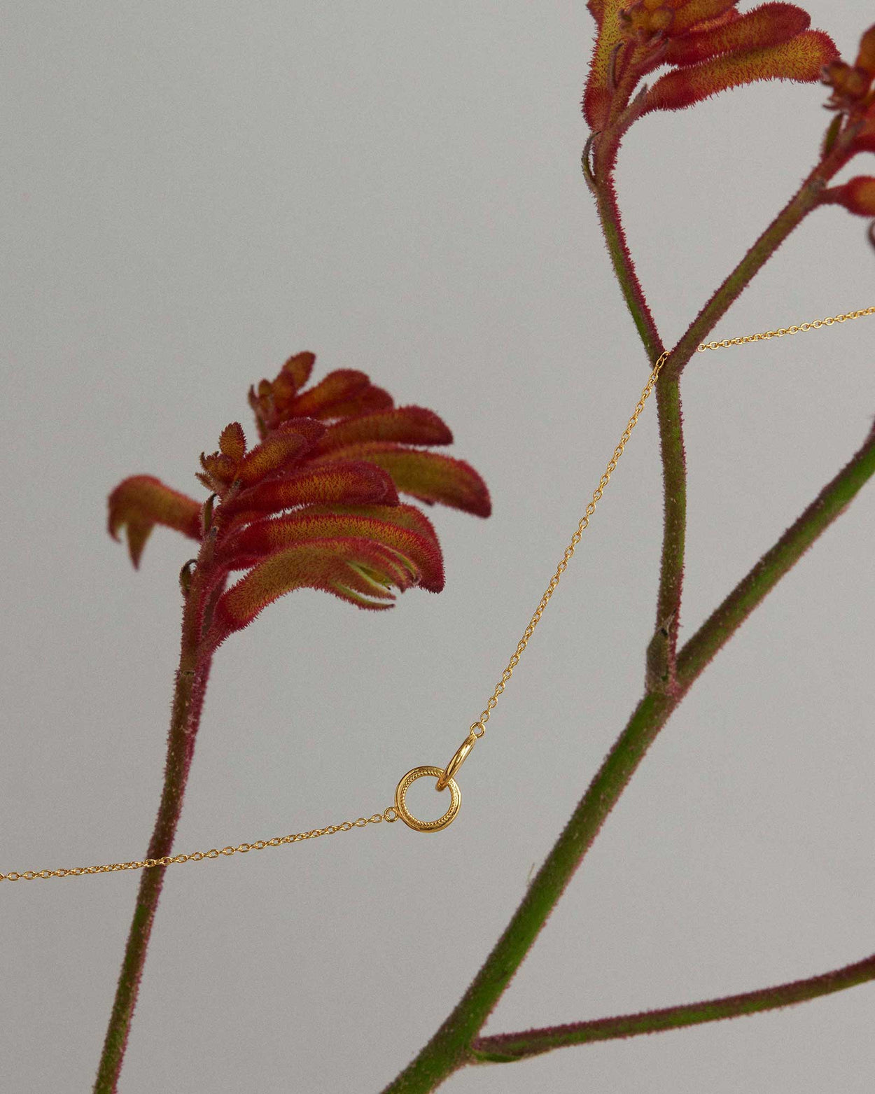 GRACE INFINITY NECKLACE (18K GOLD VERMEIL) IMAGE 4