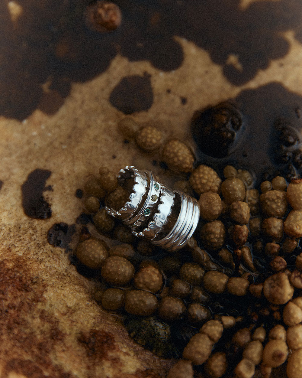STEADFAST RING (STERLING SILVER) IMAGE 3