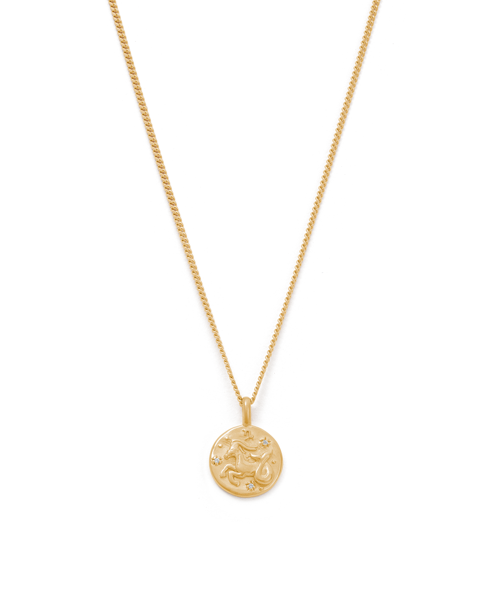 CAPRICORN PETITE ZODIAC NECKLACE (18K GOLD VERMEIL) IMAGE 1