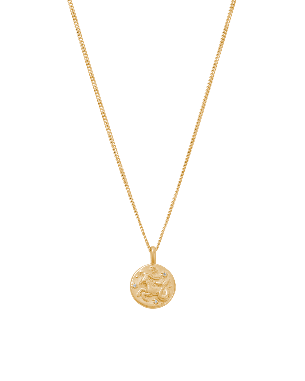 PETITE ZODIAC NECKLACE (18K GOLD VERMEIL) IMAGE 1