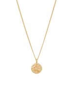 PETITE ZODIAC NECKLACE (18K GOLD VERMEIL) IMAGE 1