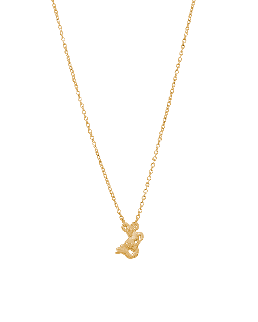 STAR SIGN NECKLACE (18K GOLD VERMEIL) IMAGE 1