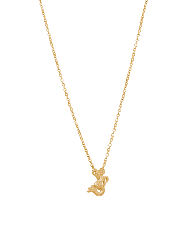 STAR SIGN NECKLACE (18K GOLD VERMEIL) IMAGE 1