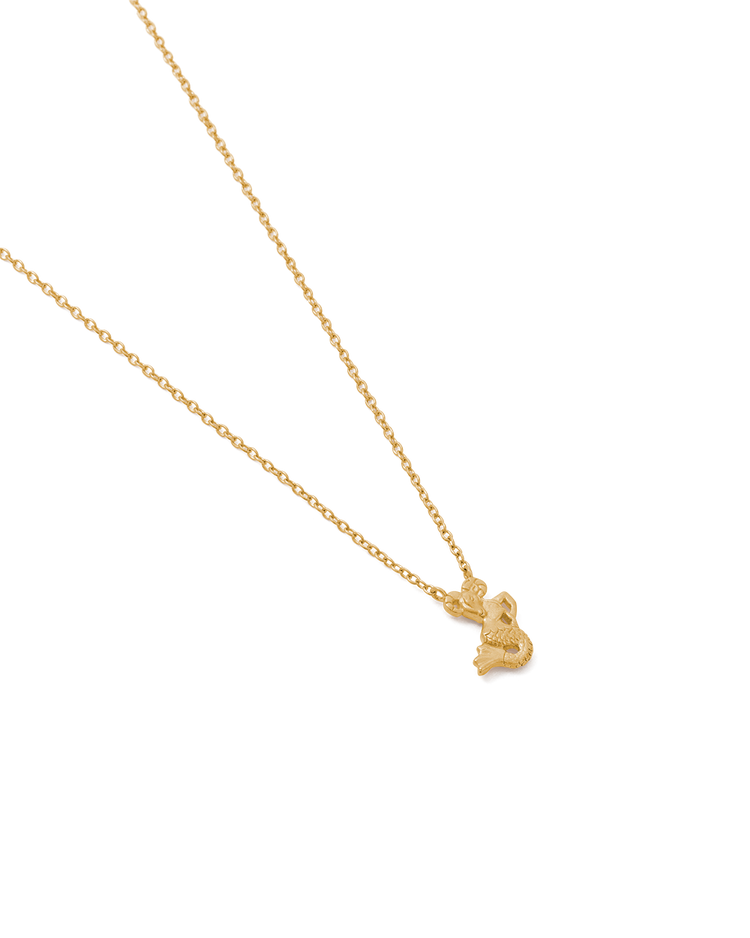 CAPRICORN STAR SIGN NECKLACE (18K GOLD VERMEIL)