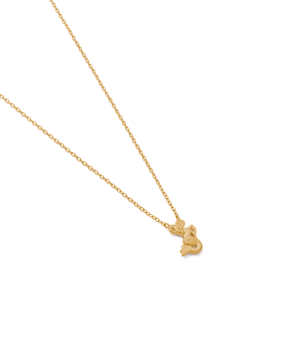 CAPRICORN STAR SIGN NECKLACE (18K GOLD VERMEIL) IMAGE 4