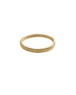 ELEMENTAL RING (18K GOLD VERMEIL) IMAGE 1
