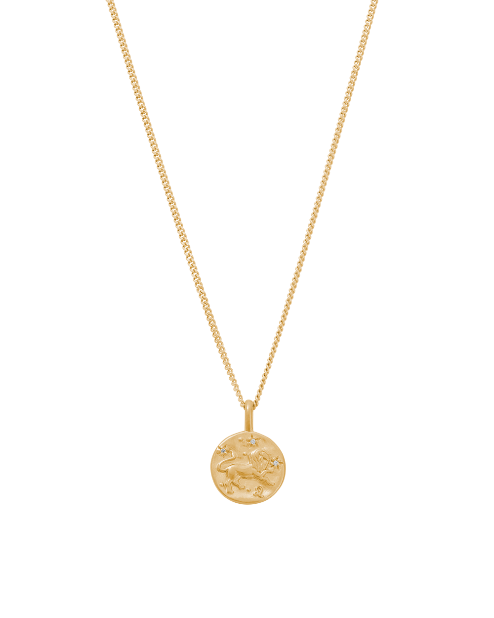 PETITE ZODIAC NECKLACE (18K GOLD VERMEIL) IMAGE 14