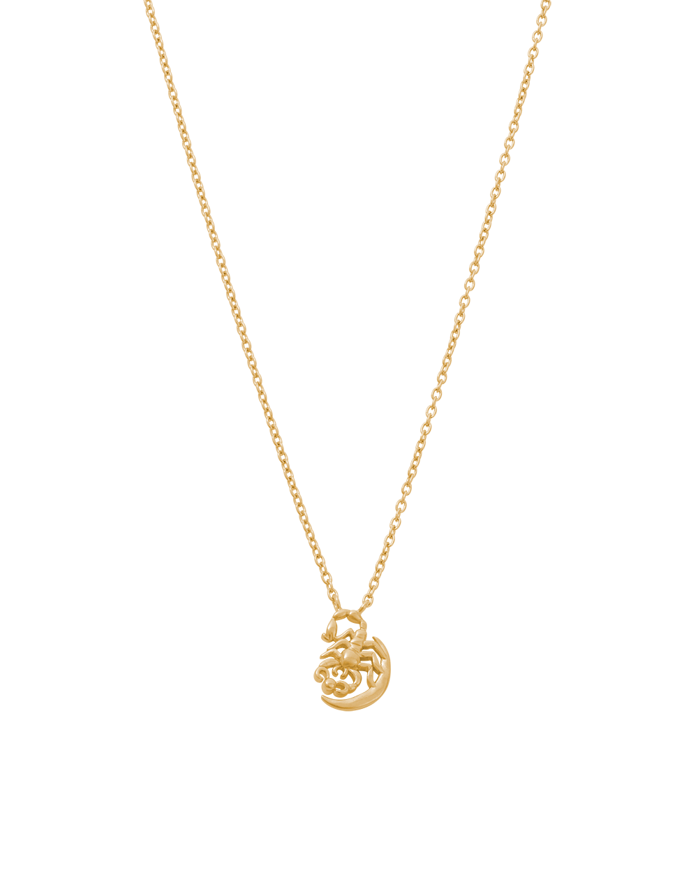 STAR SIGN NECKLACE (18K GOLD VERMEIL) IMAGE 17