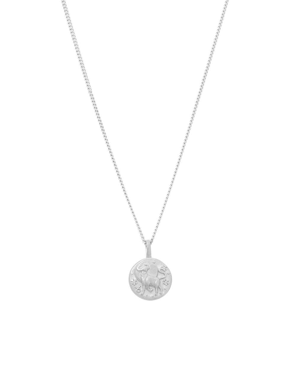 PETITE ZODIAC NECKLACE (STERLING SILVER) IMAGE 11