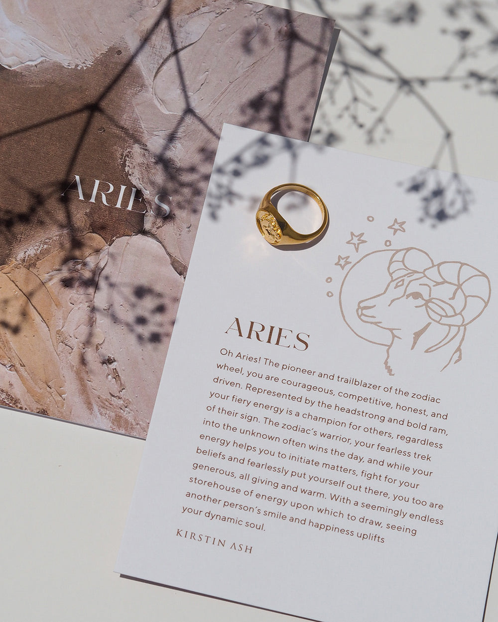 ARIES SIGNET RING (STERLING SILVER) IMAGE 8