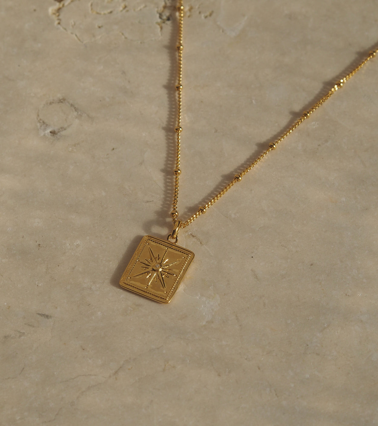 TRUE NORTH COIN NECKLACE (18K GOLD VERMEIL) IMAGE 4