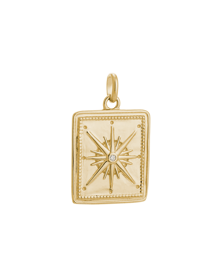 TRUE NORTH COIN (18K GOLD VERMEIL)