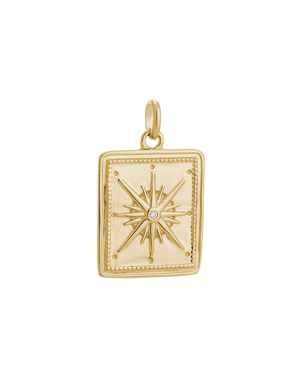 TRUE NORTH COIN (18K GOLD VERMEIL) IMAGE 1