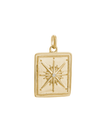 TRUE NORTH COIN (18K GOLD VERMEIL) IMAGE 1