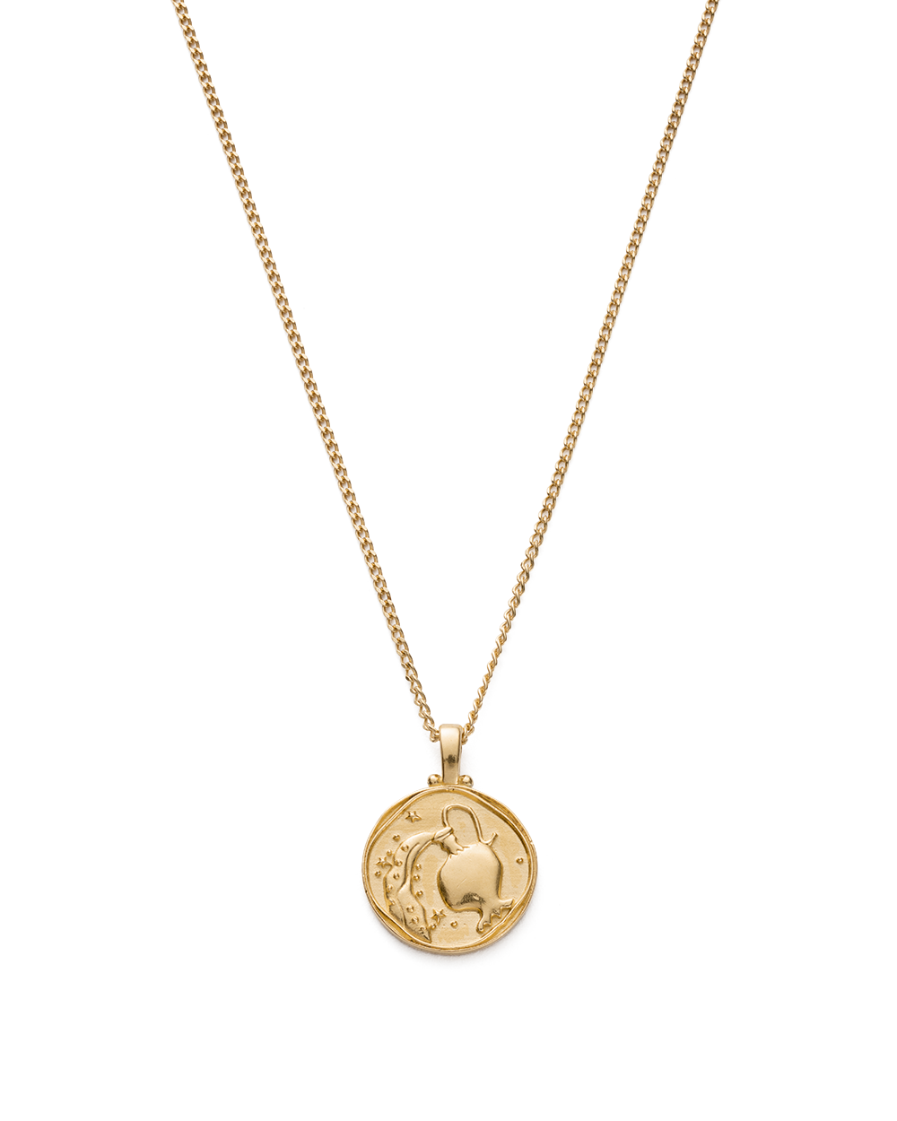Zodiac Necklace (18K Gold Vermeil) IMAGE 1