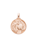 AQUARIUS ZODIAC (18K ROSE GOLD VERMEIL) IMAGE 1