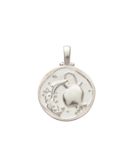 AQUARIUS ZODIAC (STERLING SILVER) IMAGE 1
