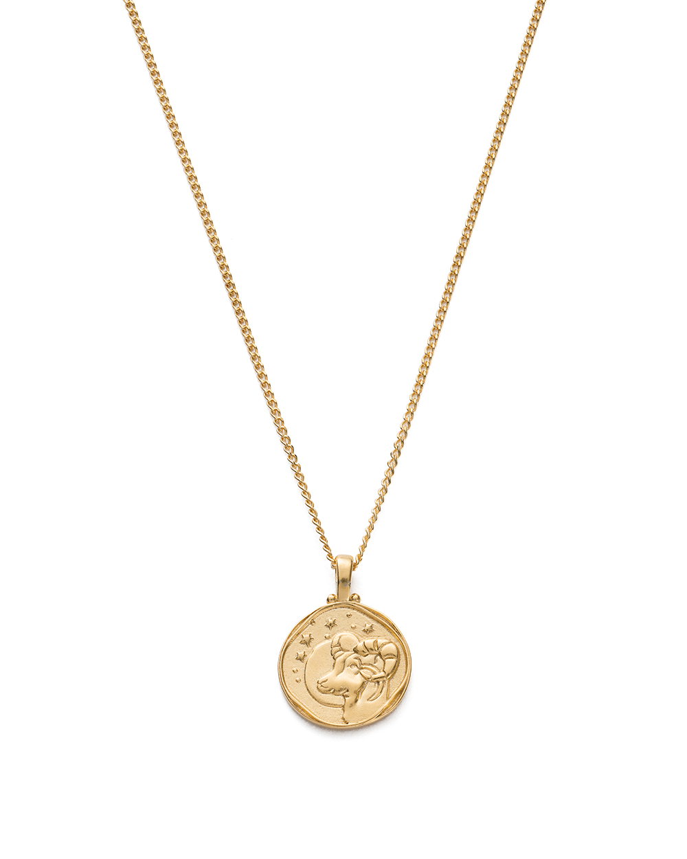 Zodiac Necklace (18K Gold Vermeil) IMAGE 4