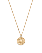 Zodiac Necklace (18K Gold Vermeil) IMAGE 13