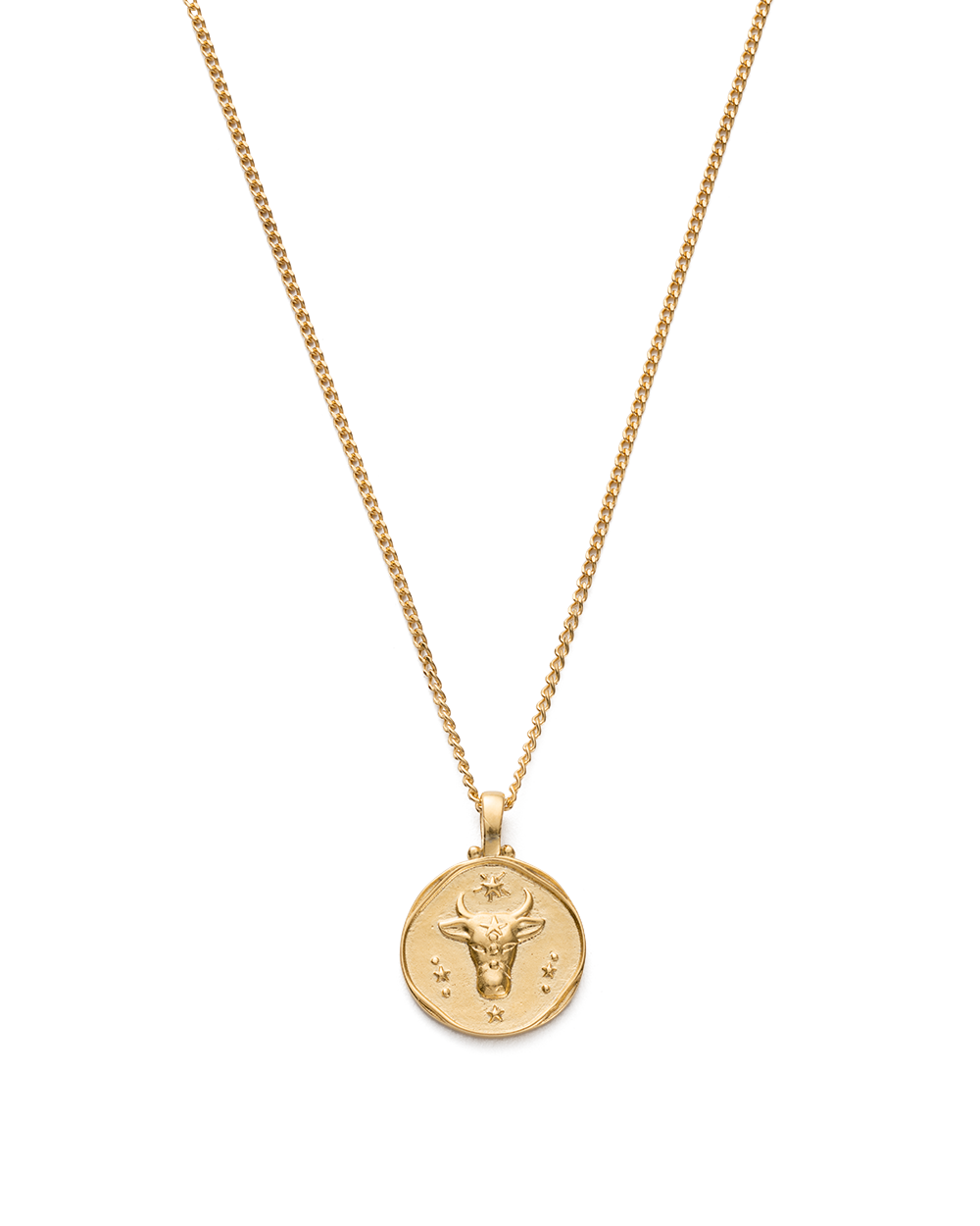Zodiac Necklace (18K Gold Vermeil) IMAGE 12